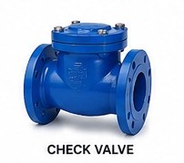 Wetpipe municipal check valve for preventing backflow in water pipeline systems